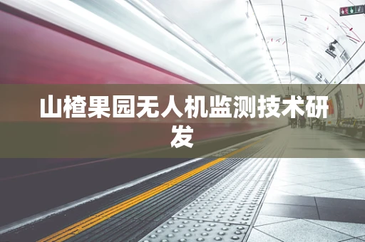 山楂果园无人机监测技术研发