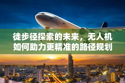 徒步径探索的未来，无人机如何助力更精准的路径规划？