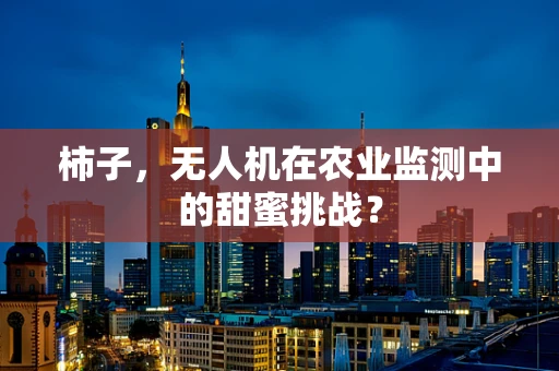 柿子，无人机在农业监测中的甜蜜挑战？