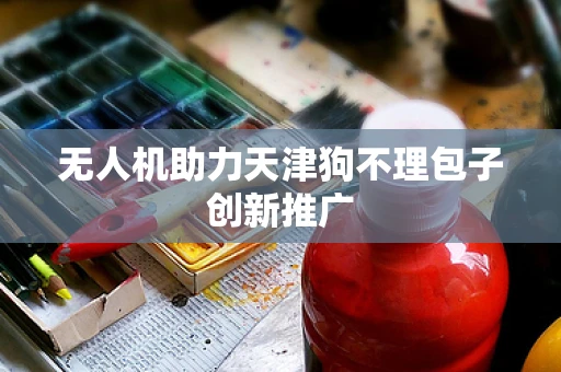 无人机助力天津狗不理包子创新推广