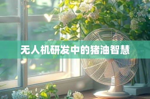 无人机研发中的猪油智慧