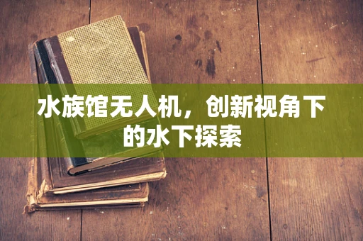 水族馆无人机，创新视角下的水下探索