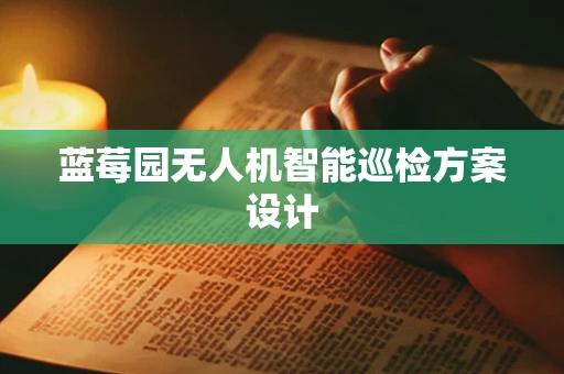 蓝莓园无人机智能巡检方案设计