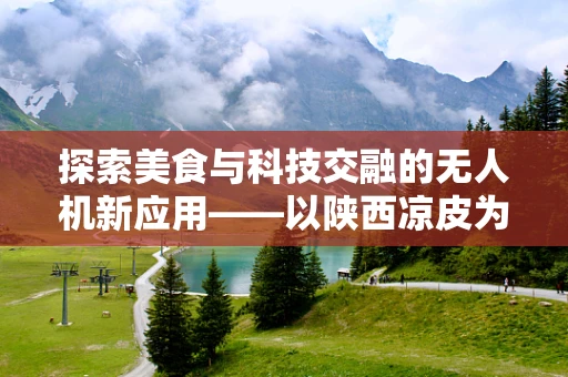 探索美食与科技交融的无人机新应用——以陕西凉皮为灵感的研发设计