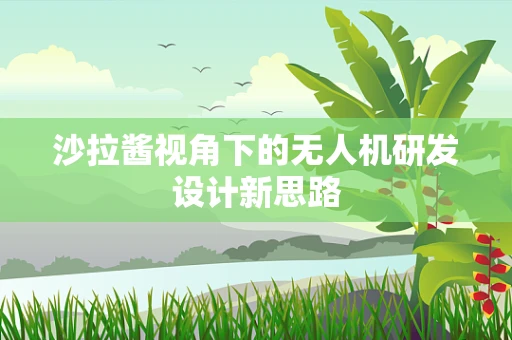沙拉酱视角下的无人机研发设计新思路