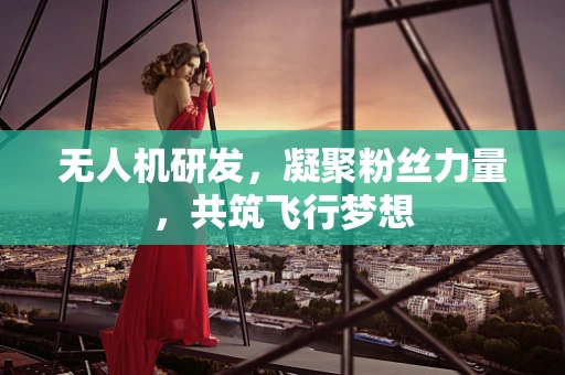 无人机研发，凝聚粉丝力量，共筑飞行梦想