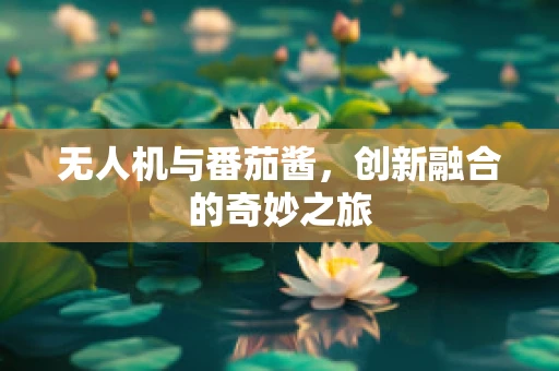 无人机与番茄酱，创新融合的奇妙之旅