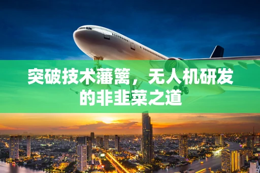 突破技术藩篱，无人机研发的非韭菜之道