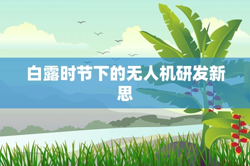 白露时节下的无人机研发新思