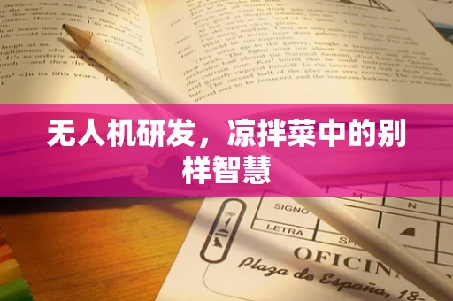无人机研发，凉拌菜中的别样智慧