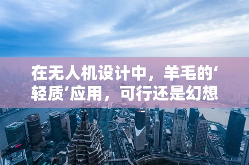 在无人机设计中，羊毛的‘轻质’应用，可行还是幻想？