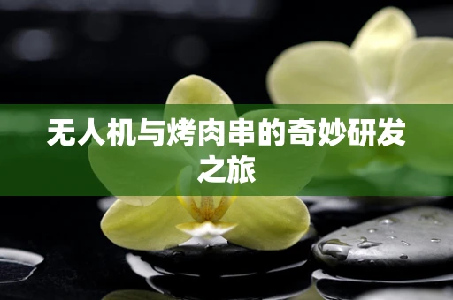 无人机与烤肉串的奇妙研发之旅