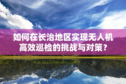 如何在长治地区实现无人机高效巡检的挑战与对策？