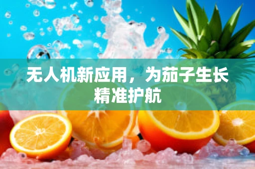 无人机新应用，为茄子生长精准护航