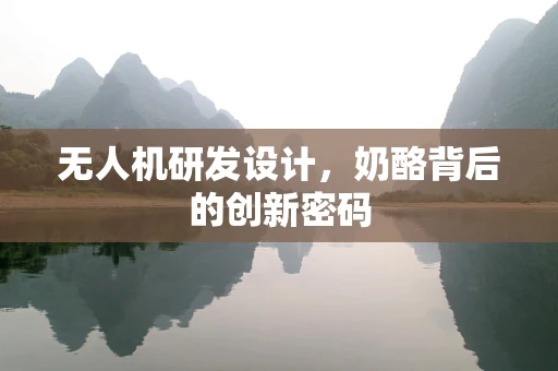 无人机研发设计，奶酪背后的创新密码