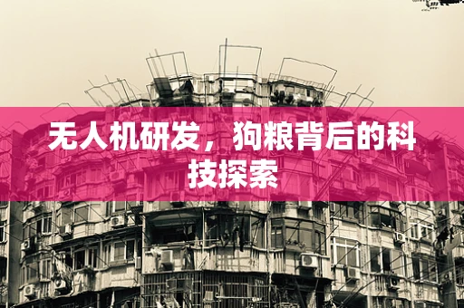 无人机研发，狗粮背后的科技探索