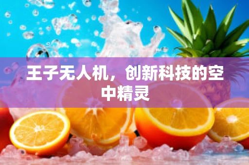 王子无人机，创新科技的空中精灵