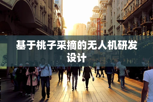 基于桃子采摘的无人机研发设计