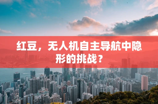 红豆，无人机自主导航中隐形的挑战？