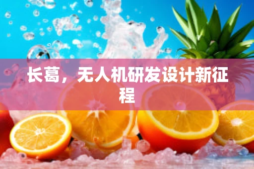 长葛，无人机研发设计新征程