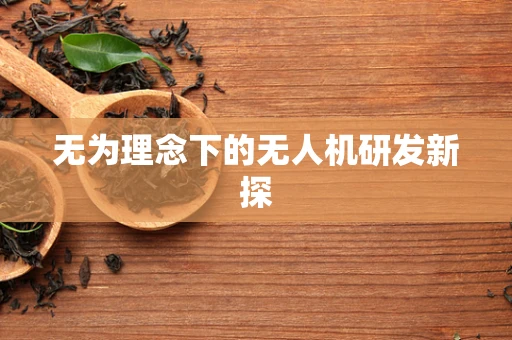 无为理念下的无人机研发新探