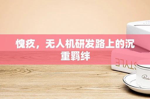 愧疚，无人机研发路上的沉重羁绊