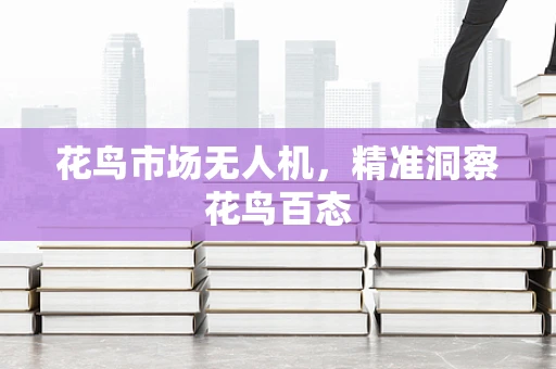 花鸟市场无人机，精准洞察花鸟百态