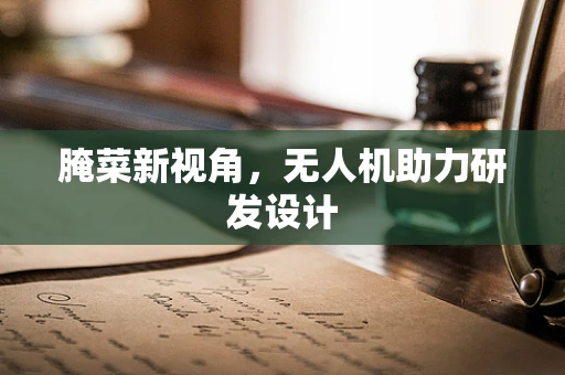 腌菜新视角，无人机助力研发设计