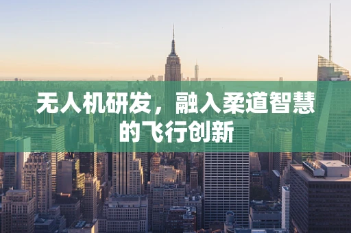 无人机研发，融入柔道智慧的飞行创新