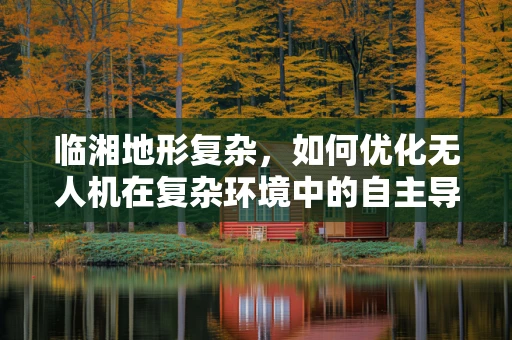 临湘地形复杂，如何优化无人机在复杂环境中的自主导航与避障能力？