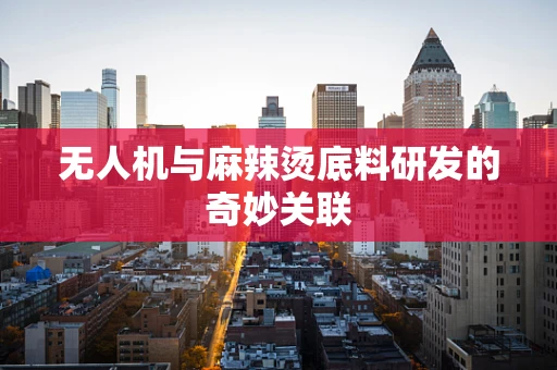 无人机与麻辣烫底料研发的奇妙关联