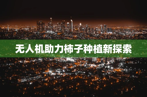 无人机助力柿子种植新探索