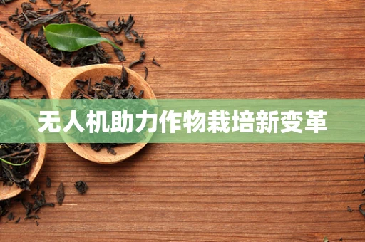 无人机助力作物栽培新变革