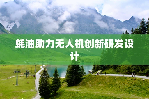 蚝油助力无人机创新研发设计