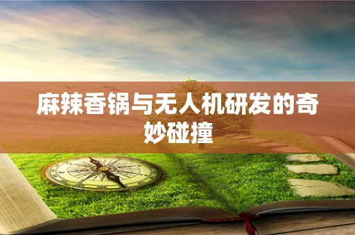 麻辣香锅与无人机研发的奇妙碰撞