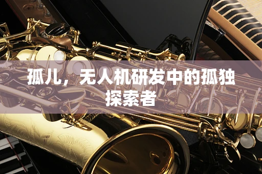 孤儿，无人机研发中的孤独探索者