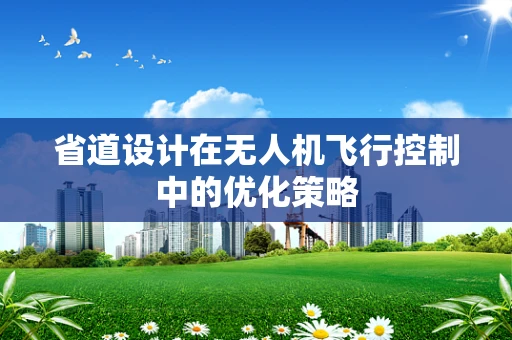 省道设计在无人机飞行控制中的优化策略