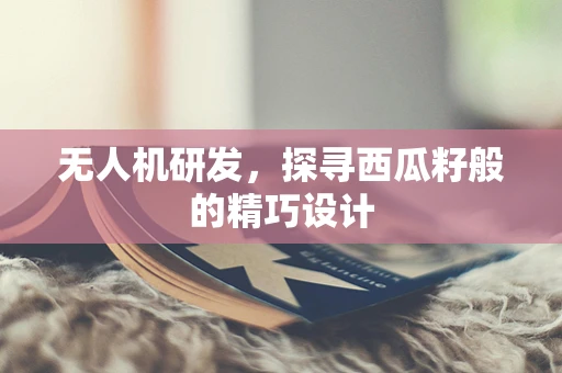 无人机研发，探寻西瓜籽般的精巧设计
