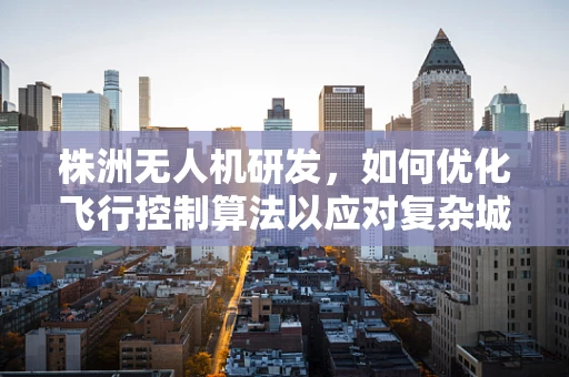 株洲无人机研发，如何优化飞行控制算法以应对复杂城市环境？