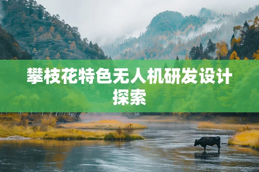 攀枝花特色无人机研发设计探索