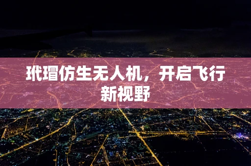玳瑁仿生无人机，开启飞行新视野