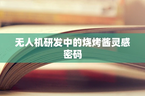 无人机研发中的烧烤酱灵感密码