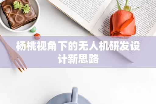 杨桃视角下的无人机研发设计新思路