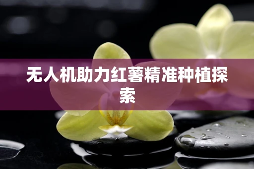 无人机助力红薯精准种植探索