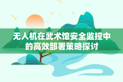 无人机在武术馆安全监控中的高效部署策略探讨