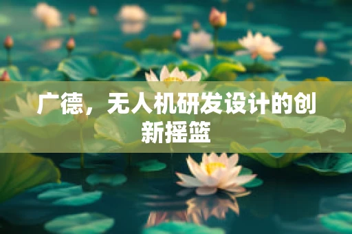 广德，无人机研发设计的创新摇篮