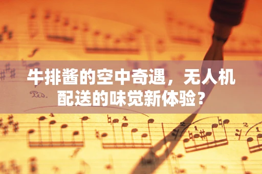 牛排酱的空中奇遇，无人机配送的味觉新体验？