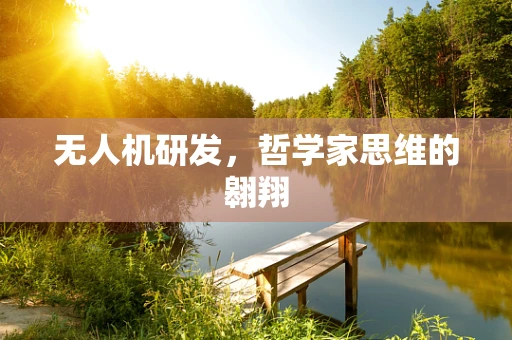 无人机研发，哲学家思维的翱翔