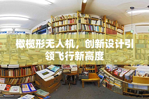橄榄形无人机，创新设计引领飞行新高度