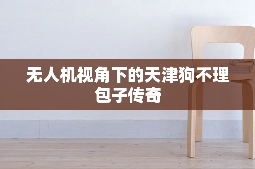 无人机视角下的天津狗不理包子传奇